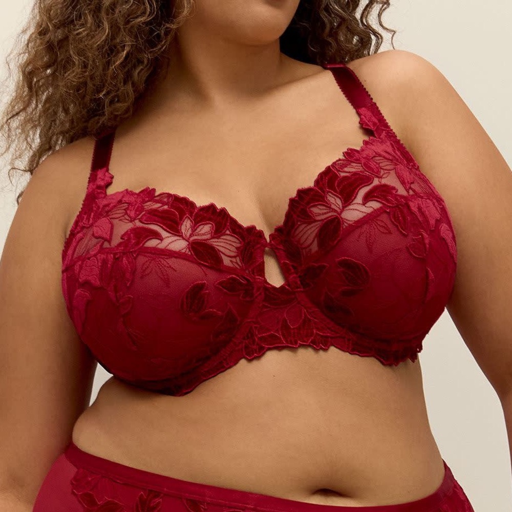 NWT Underwire Velvet Lace Bra